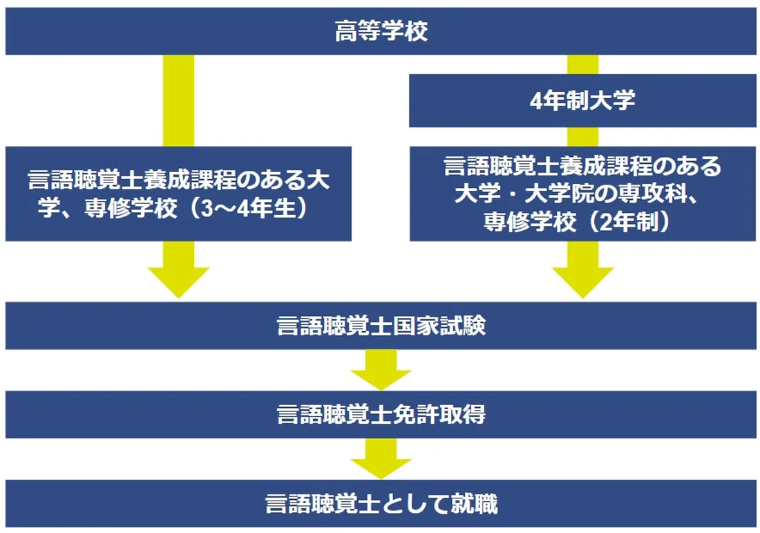 言語聴覚士 St の資格を取る方法とは Litalicoキャリア 障害福祉 児童福祉の就職 転職 求人サイト