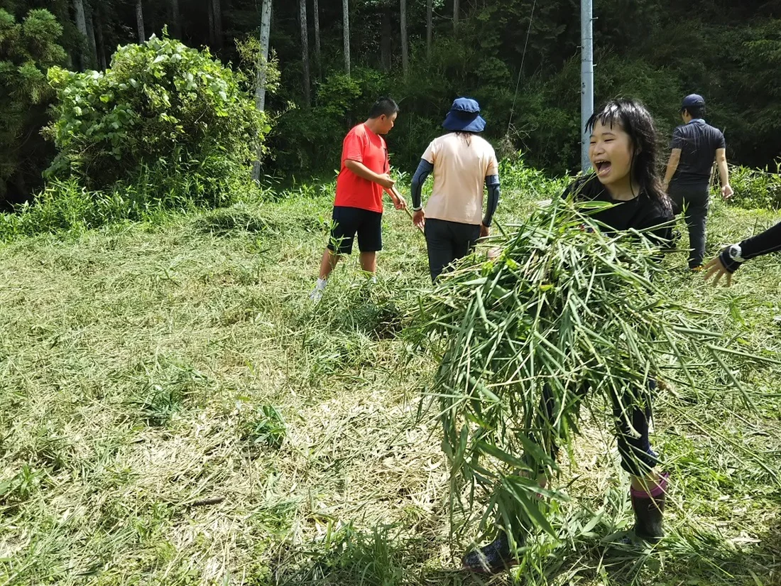 どすこい西田辺部屋の保育士 正社員 の求人情報 大阪府大阪市阿倍野区 Litalicoキャリア