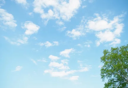 株式会社ベストライフジャパンの求人 採用情報 Litalicoキャリア