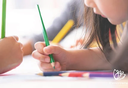 株式会社ラマモンソレイユ Litalicoキャリア 障害福祉 児童福祉の就職 転職 求人サイト