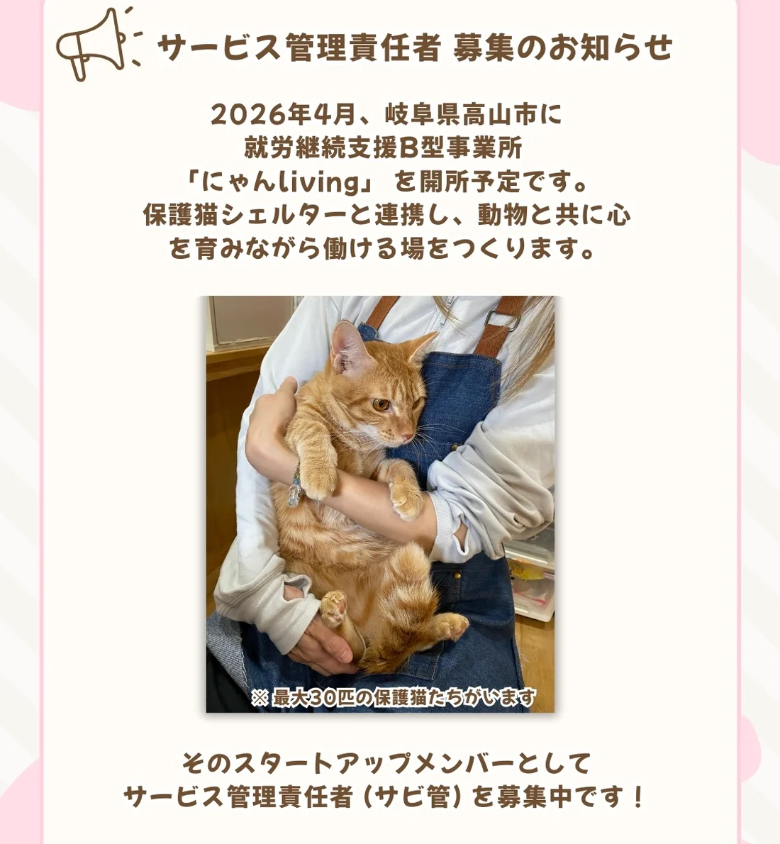 2026年4月OPEN】にゃんlivingのサービス管理責任者（正社員）の求人